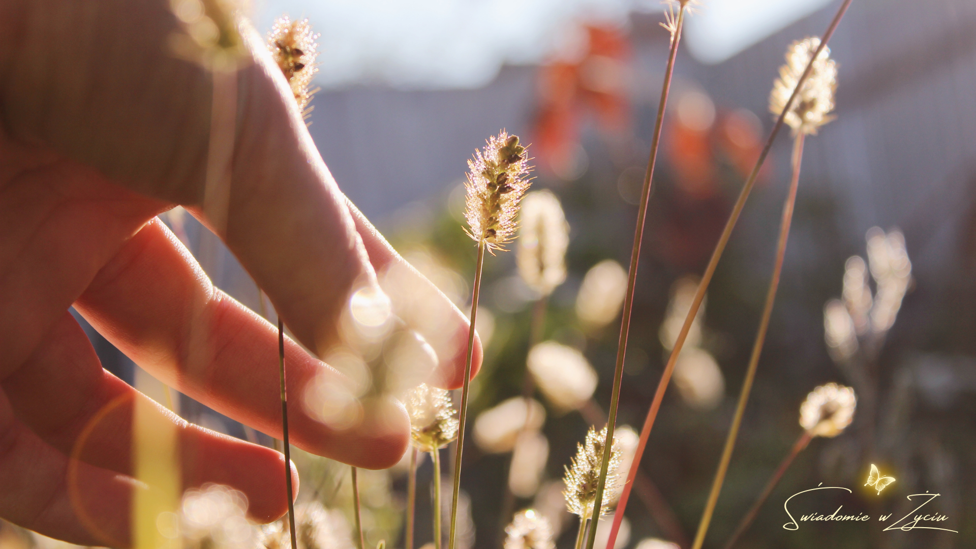 Wszystko jest relacją_blog_long