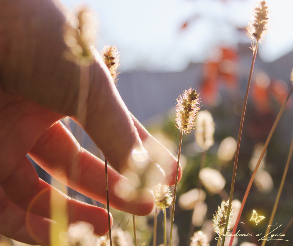 Wszystko jest relacją