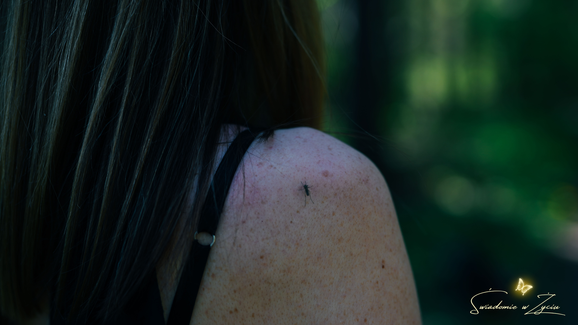 Ja tak jestem_blog_długi