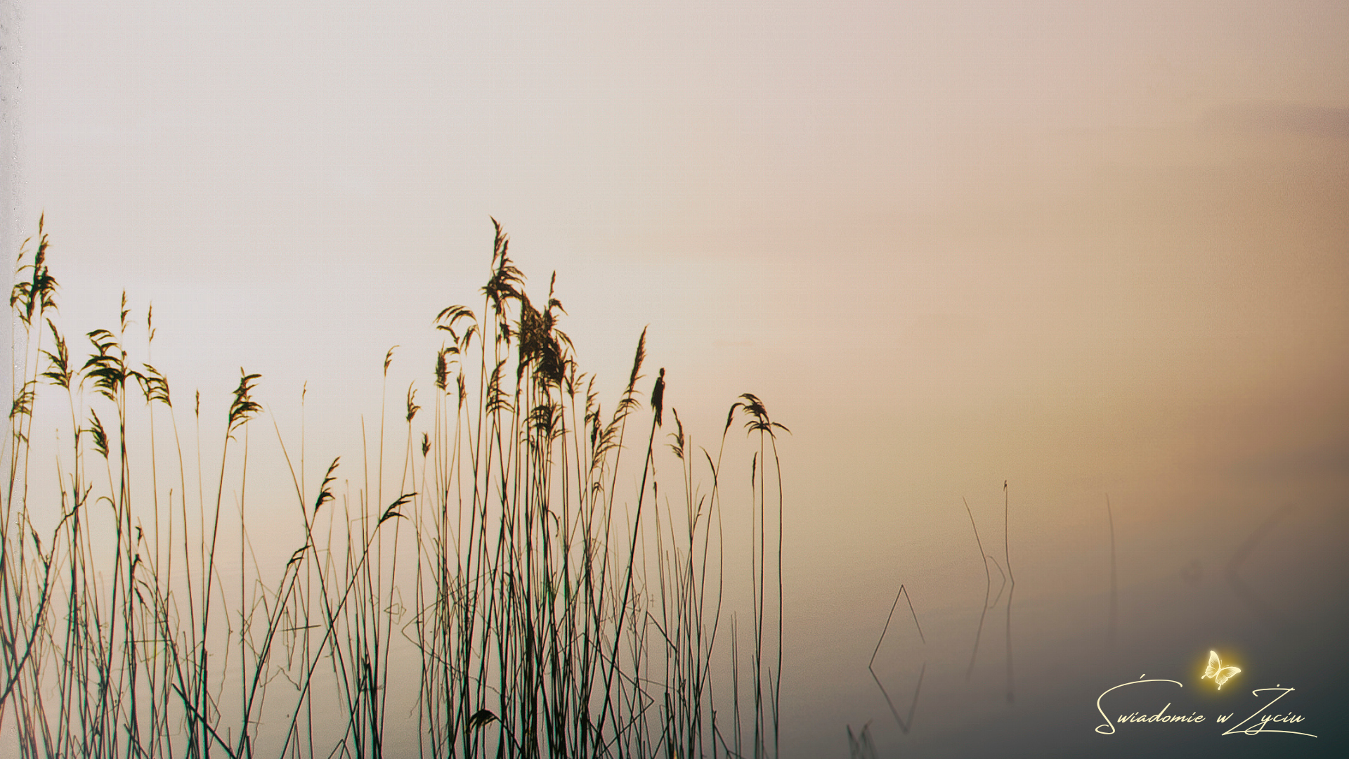 Zatrzymanie_Blog_Z drogi_long