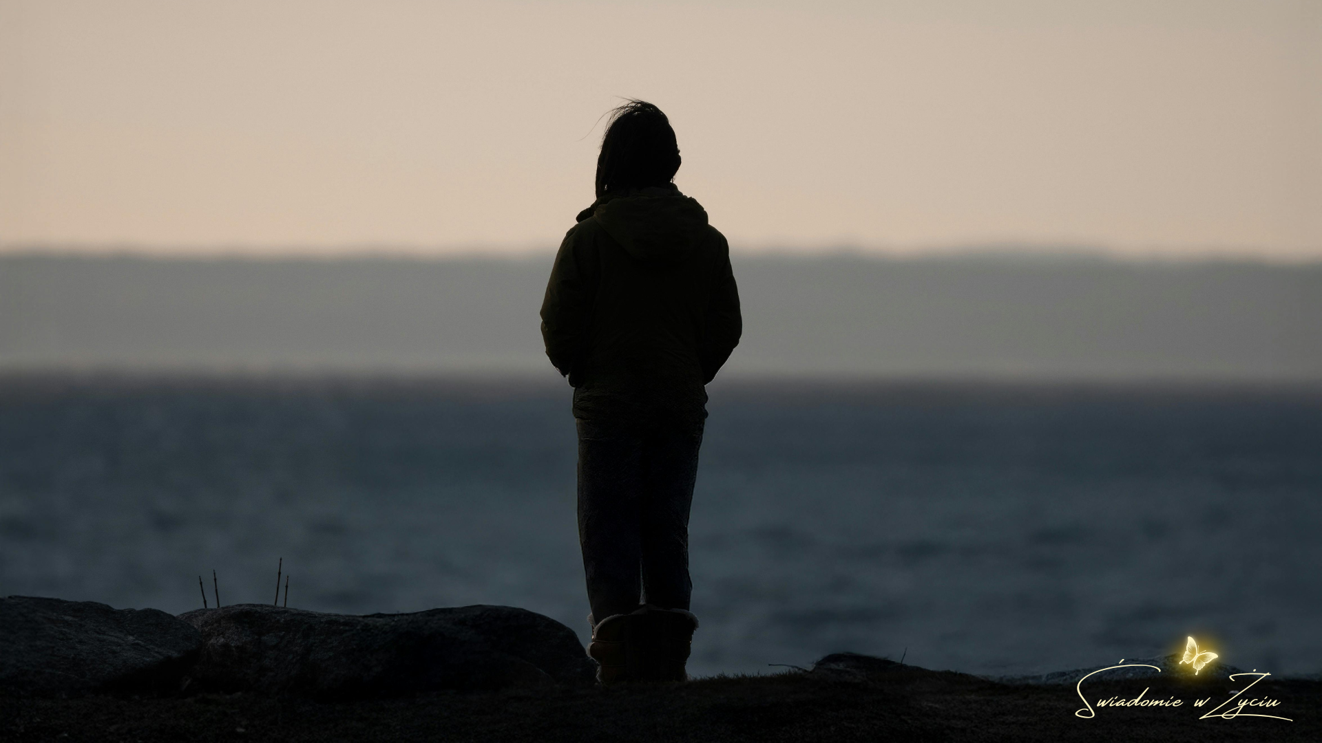 Autorytet_blog_długi