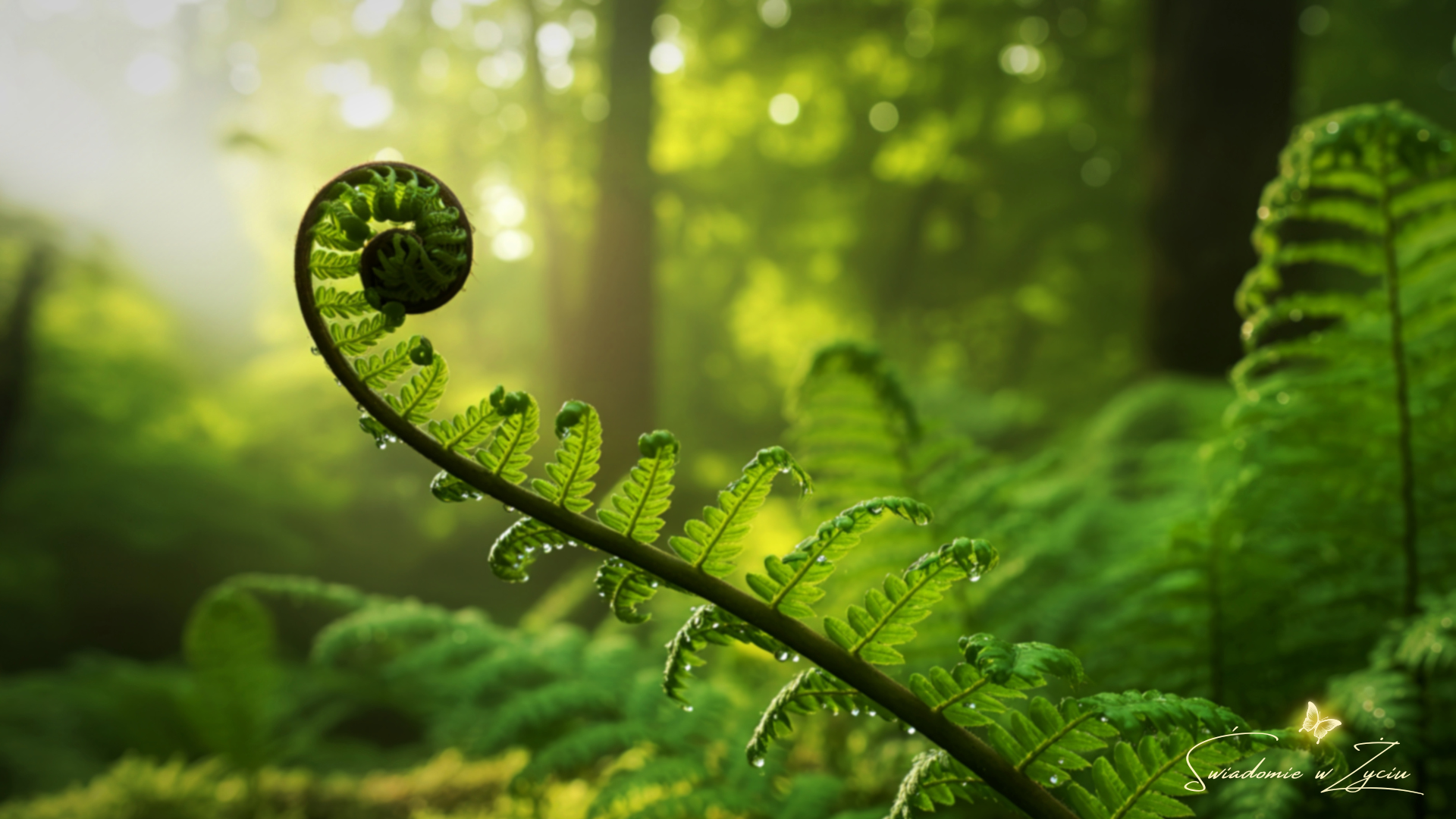 Jest taki moment na drodze_blog_długi